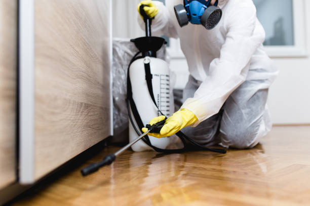 Best Termite Control Services  in Jerome, ID
