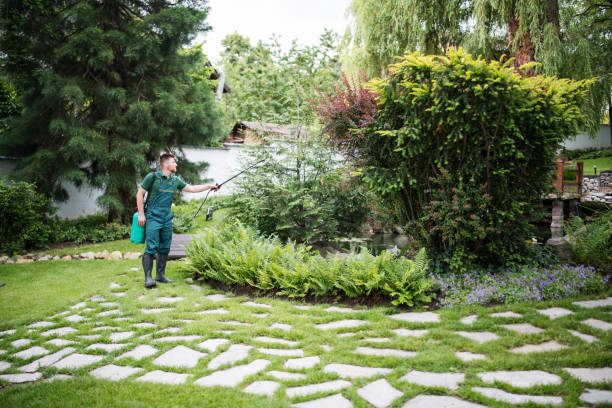 Best Pest Removal Services  in Jerome, ID