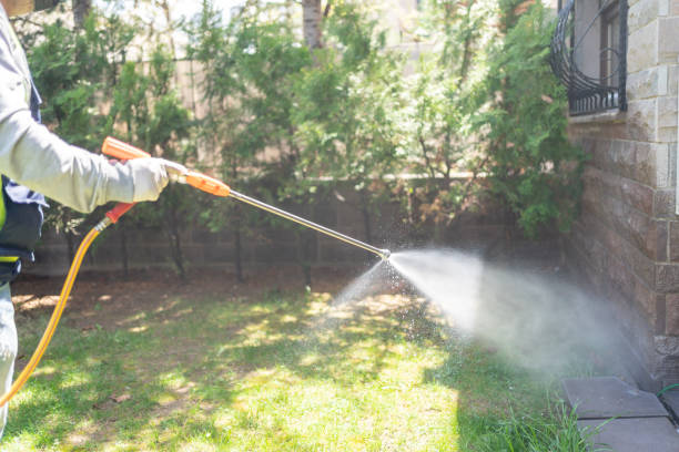 Best Best Pest Control Companies  in Jerome, ID