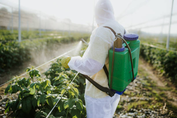 Best Insect Control  in Jerome, ID
